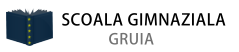 Scoala Gimnaziala Gruia